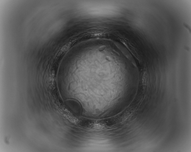 X0000100970737200806241550