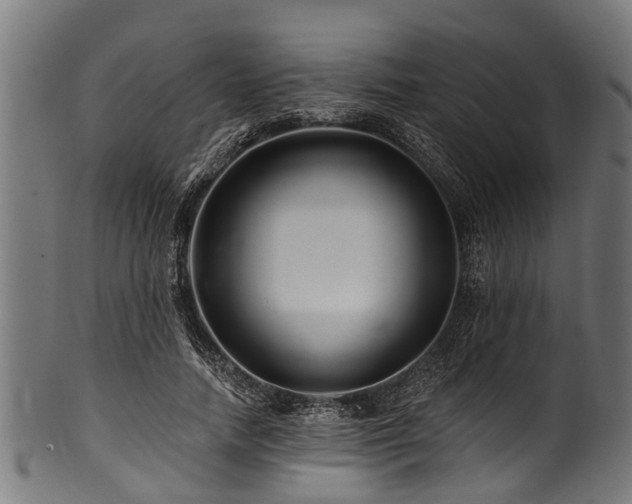 X0000100970738200806241550