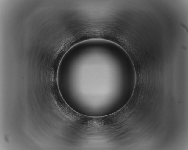 X0000100970739200806241550