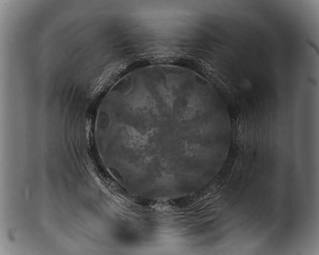 X0000100970742200806241550