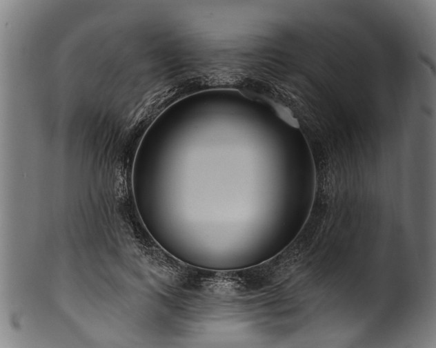 X0000100970743200806241551