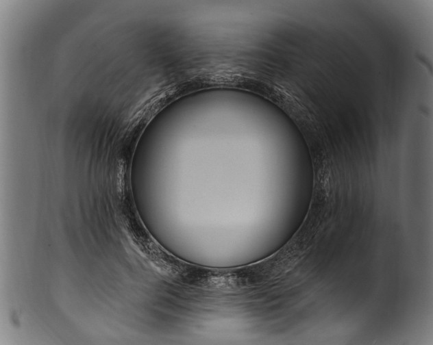 X0000100970744200806241551