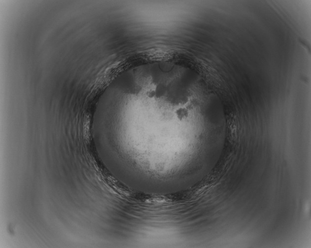 X0000100970745200806241551