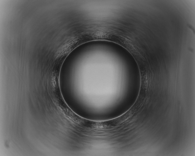 X0000100970746200806241551