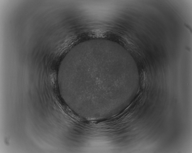 X0000100970747200806241551