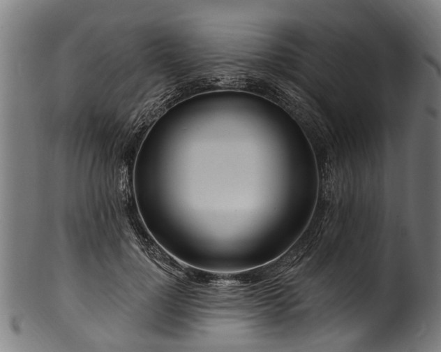 X0000100970748200806241551