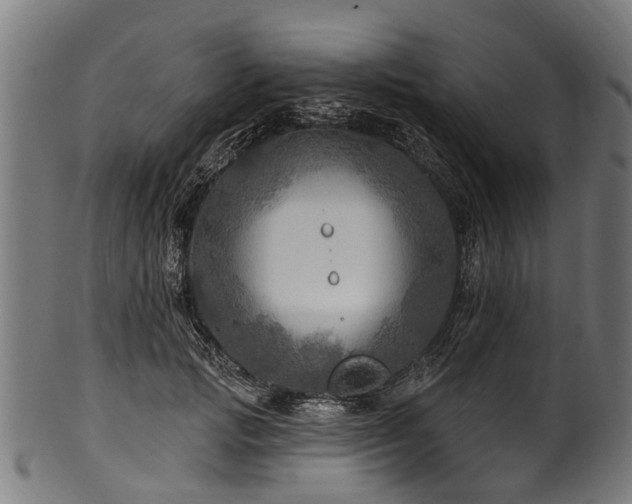 X0000100970749200806241551