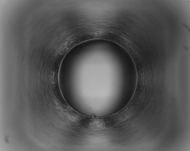 X0000100970750200806241551