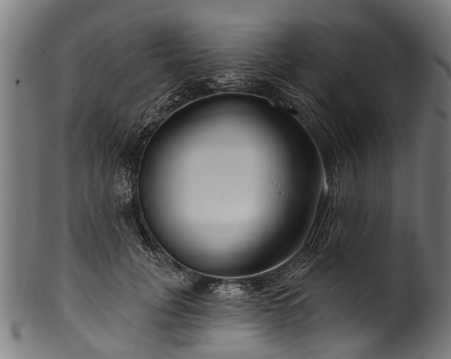 X0000100970751200806241551