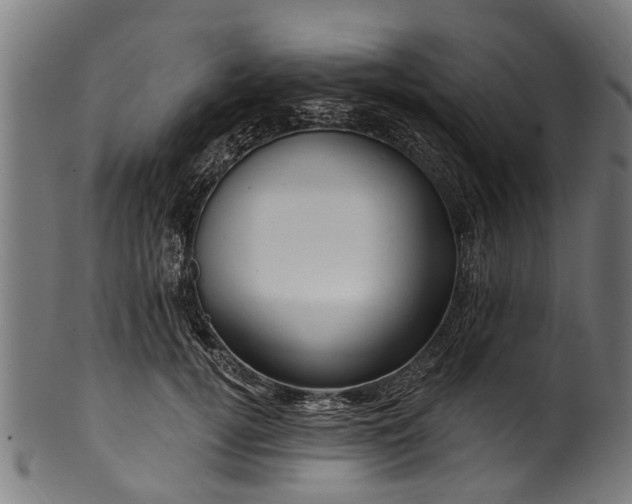 X0000100970752200806241551