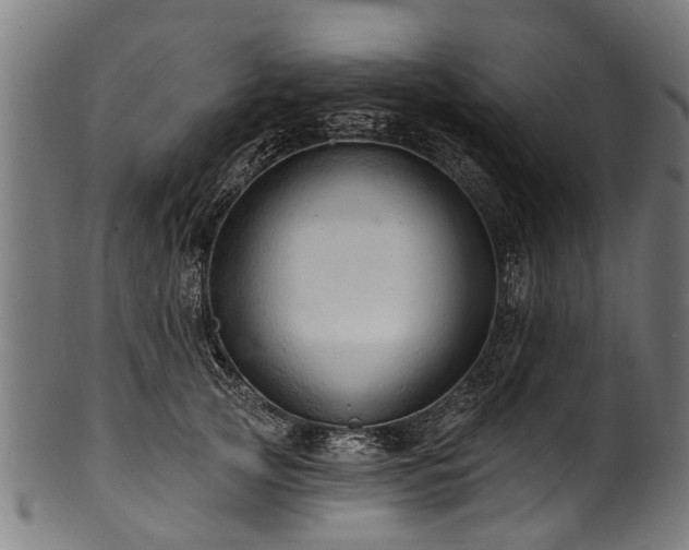 X0000100970753200806241551