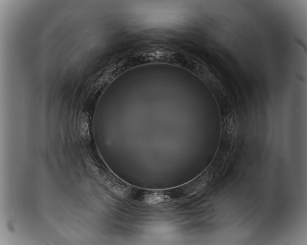 X0000100970754200806241551
