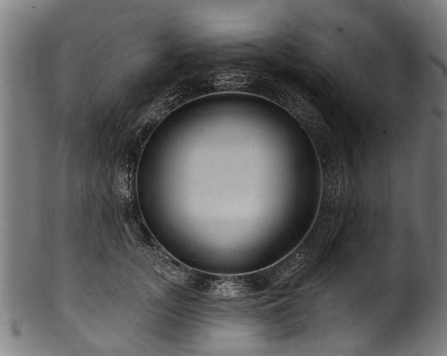 X0000100970755200806241551