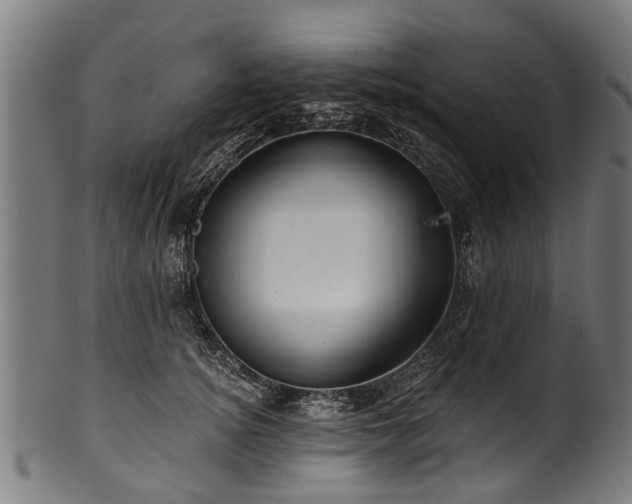 X0000100970756200806241551