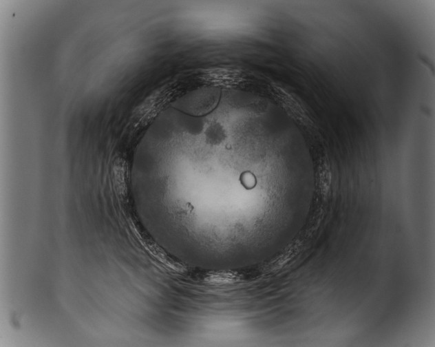 X0000100970757200806241551