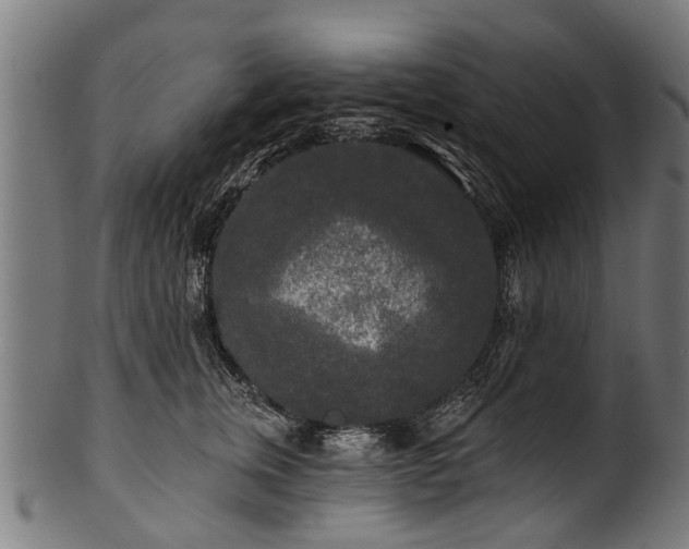 X0000100970759200806241551