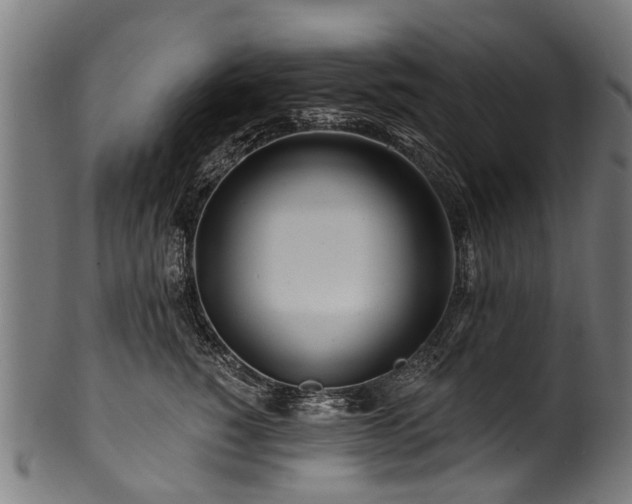 X0000100970760200806241551