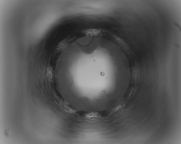 X0000100970761200806241551