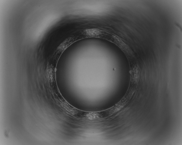 X0000100970762200806241551