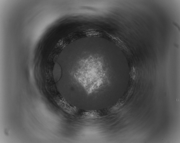 X0000100970763200806241551