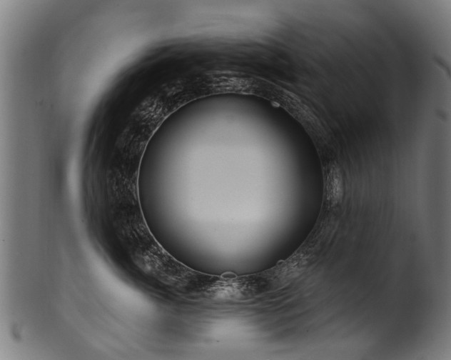 X0000100970764200806241551