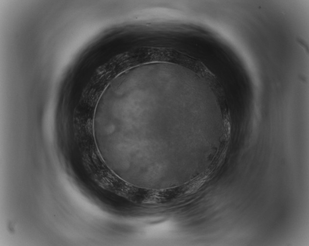 X0000100970765200806241551