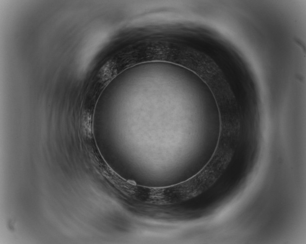 X0000100970766200806241551