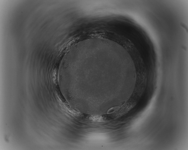 X0000100970767200806241551
