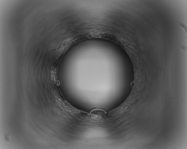X0000100970768200806241551