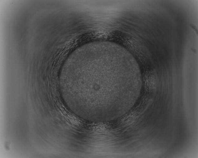 X0000100970769200806241550