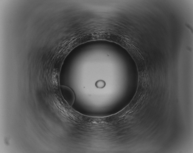 X0000100970770200806241550