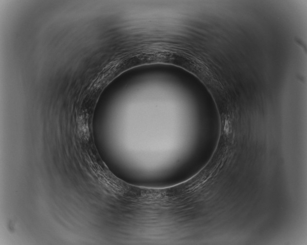 X0000100970771200806241550