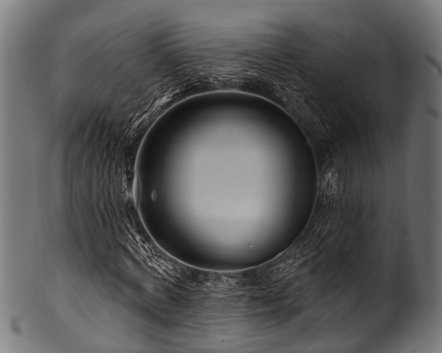 X0000100970772200806241550