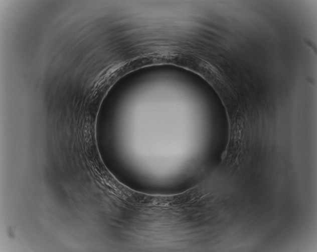 X0000100970773200806241550