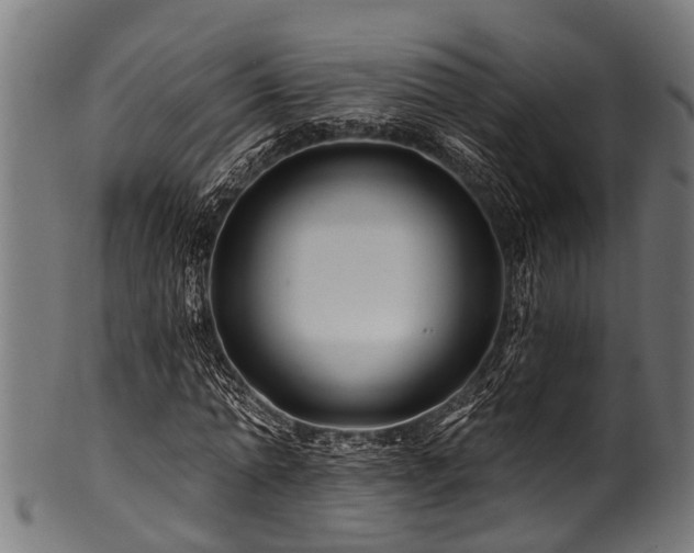 X0000100970774200806241550