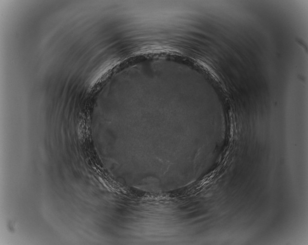 X0000100970775200806241550