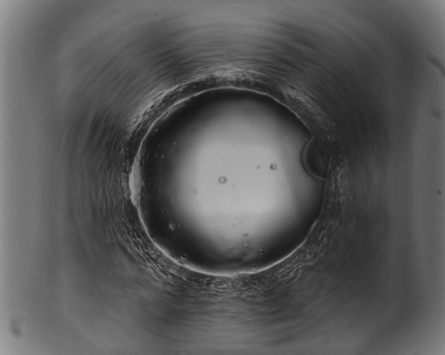 X0000100970776200806241550