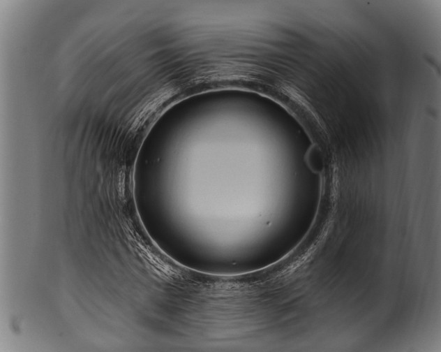 X0000100970777200806241550