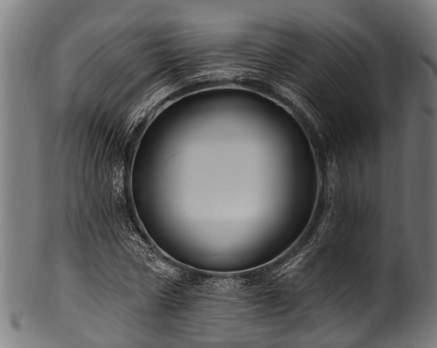 X0000100970778200806241550