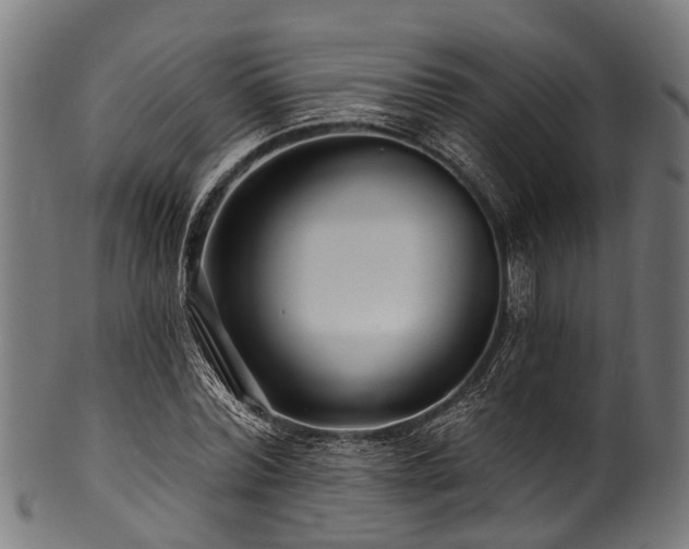 X0000100970780200806241550