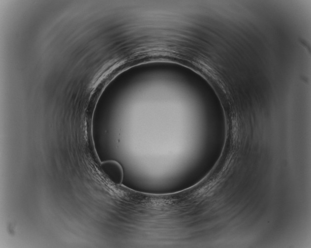 X0000100970782200806241550