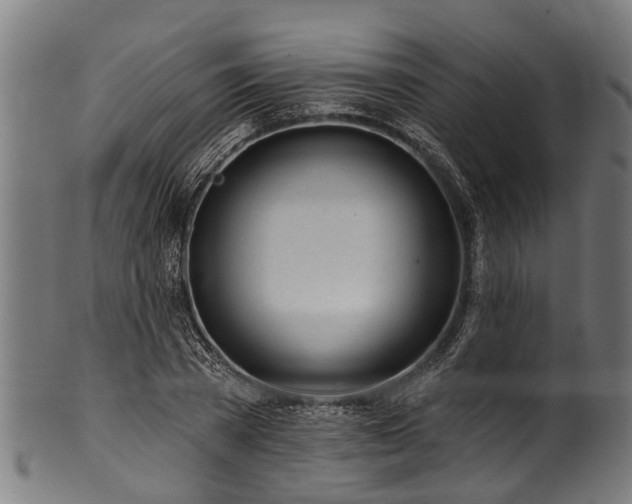 X0000100970785200806241550