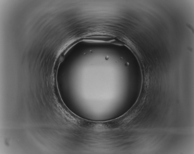 X0000100970787200806241550