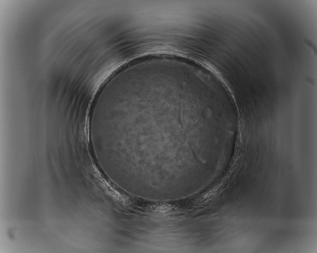 X0000100970791200806241550