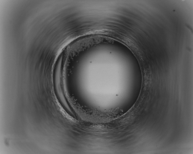 X0000100970792200806241550