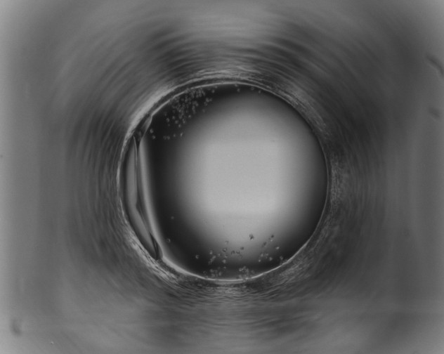 X0000100970796200806241550