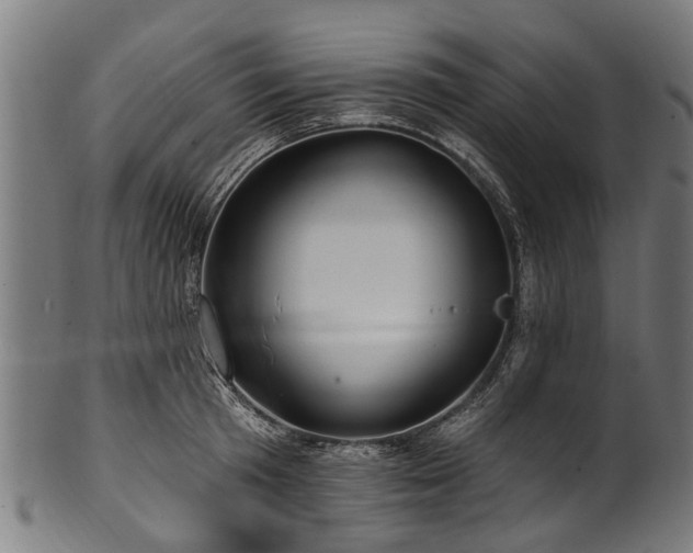 X0000100970801200806241550