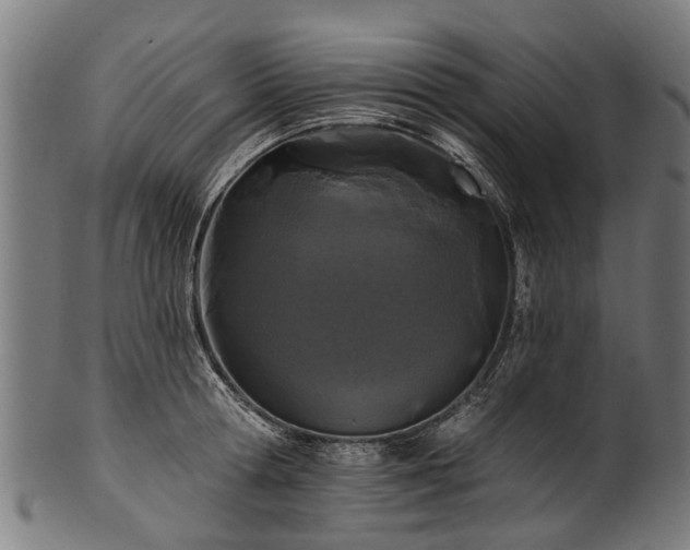 X0000100970802200806241550