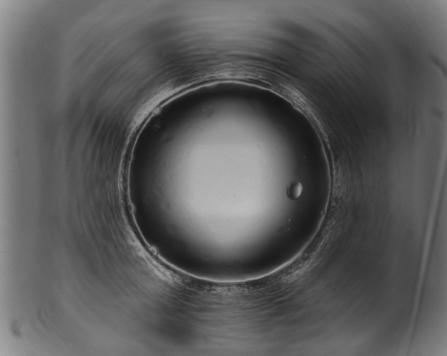 X0000100970803200806241550