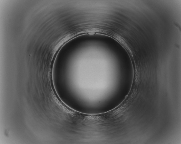 X0000100970805200806241550